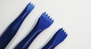 gradina-diente-americano-azul-4